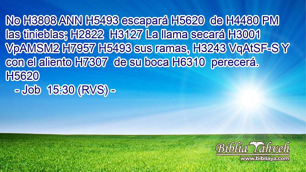 No H3808 ANN H5493 escapará H5620  de H4480 PM las tinieblas; H2822  H3127 La llama secará H3001 VpAMSM2 H7957 H5493 sus ramas, H3243 VqAtSF-S Y con el aliento H7307  de su boca H6310  perecerá. H5620  