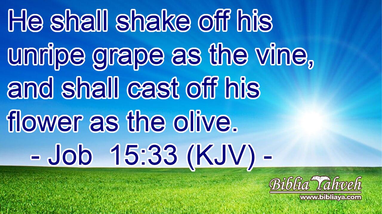 He shall shake off his unripe grape as the vine, and shall cast off his flower as the olive.