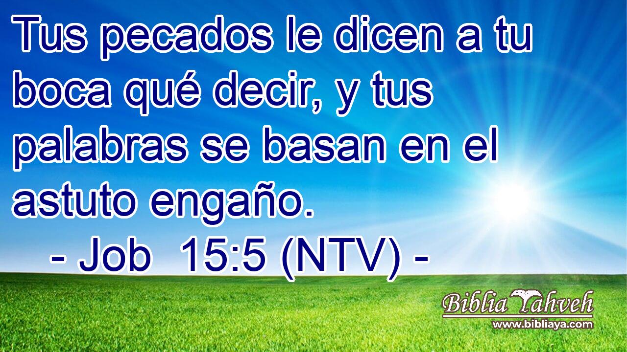 Tus pecados le dicen a tu boca qué decir, y tus palabras se basan en el astuto engaño.