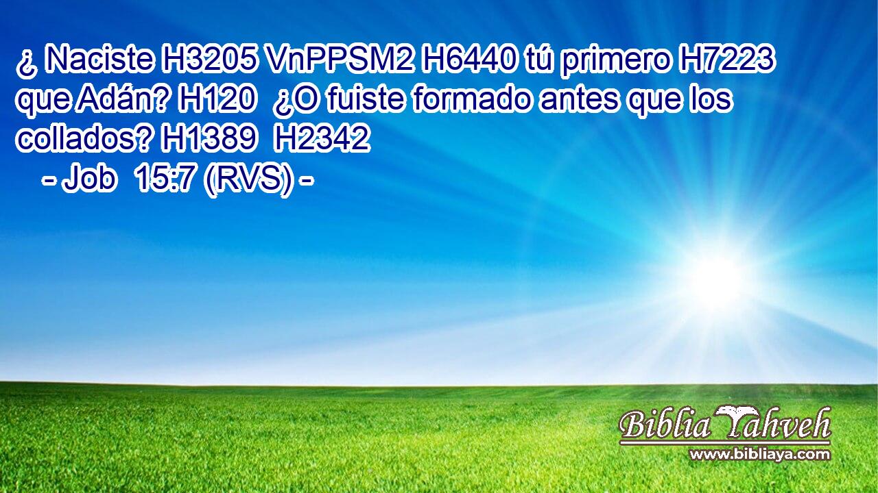¿ Naciste H3205 VnPPSM2 H6440 tú primero H7223  que Adán? H120  ¿O fuiste formado antes que los collados? H1389  H2342 