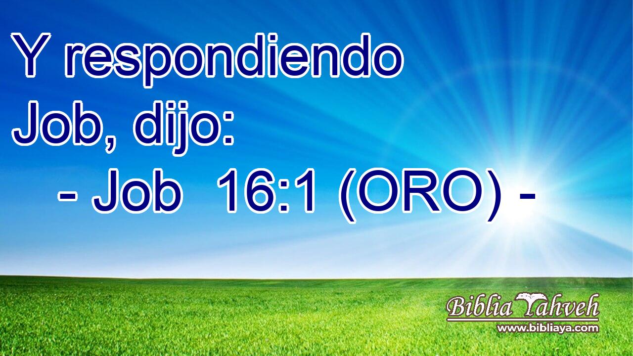  Y respondiendo Job, dijo: 