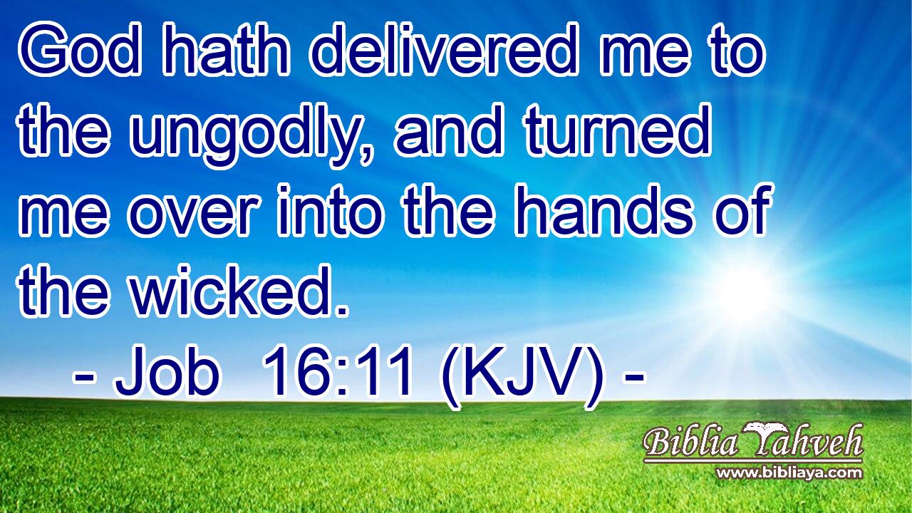 God hath delivered me to the ungodly, and turned me over into the hands of the wicked.