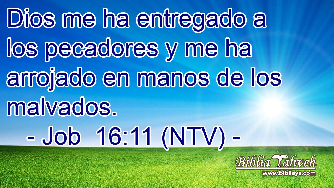 Dios me ha entregado a los pecadores y me ha arrojado en manos de los malvados.