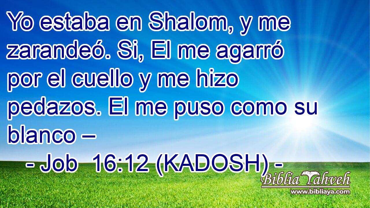  Yo estaba en Shalom, y me zarandeó. Si, El me agarró por el cuello y me hizo pedazos. El me puso como su blanco – 