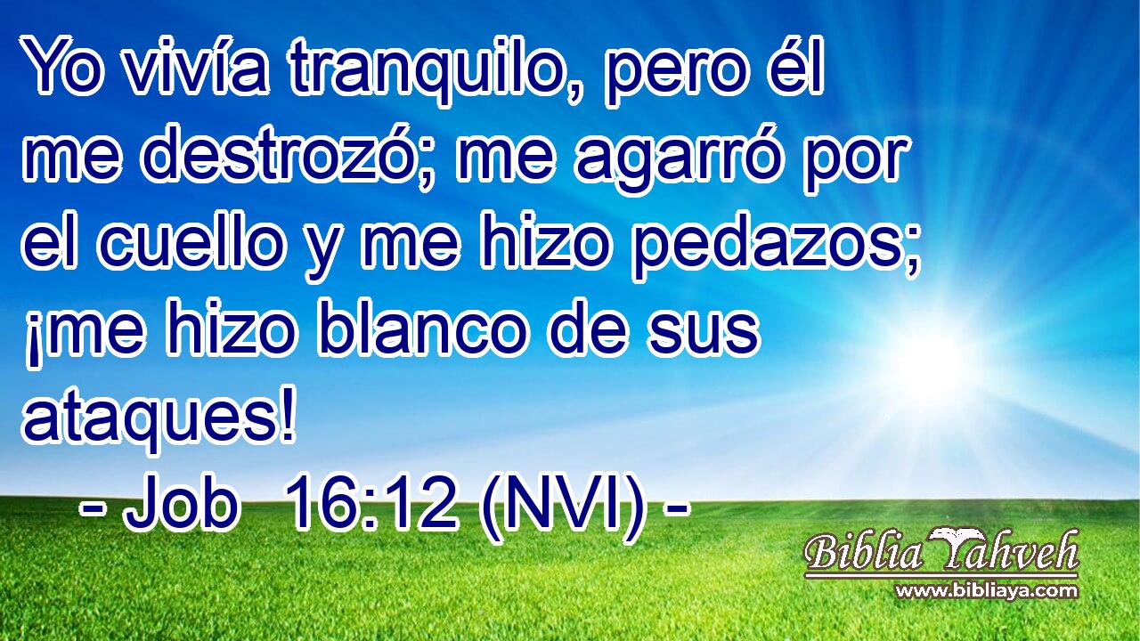  Yo vivía tranquilo, pero él me destrozó; me agarró por el cuello y me hizo pedazos; ¡me hizo blanco de sus ataques! 