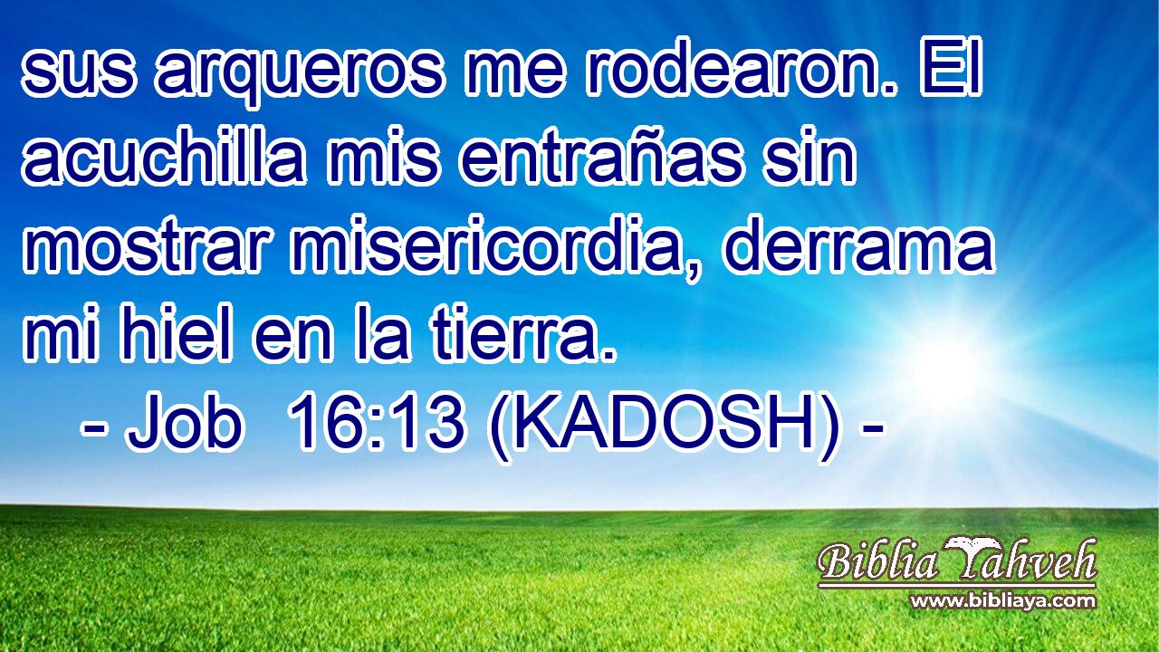  sus arqueros me rodearon. El acuchilla mis entrañas sin mostrar misericordia, derrama mi hiel en la tierra. 