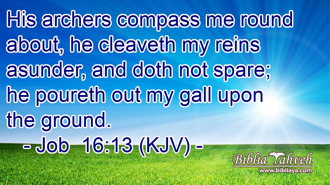 His archers compass me round about, he cleaveth my reins asunder, and doth not spare; he poureth out my gall upon the ground.