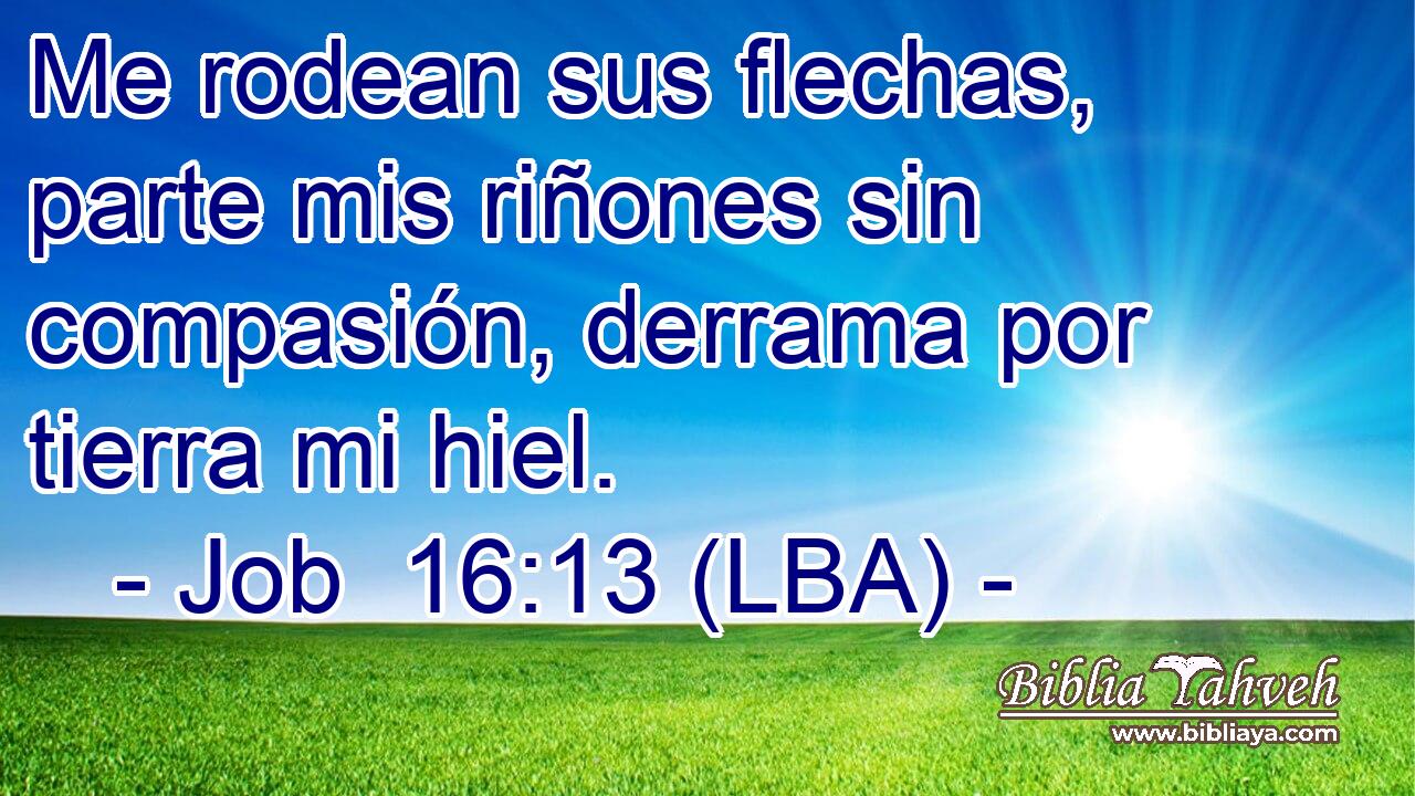 Me rodean sus flechas, parte mis riñones sin compasión, derrama por tierra mi hiel.