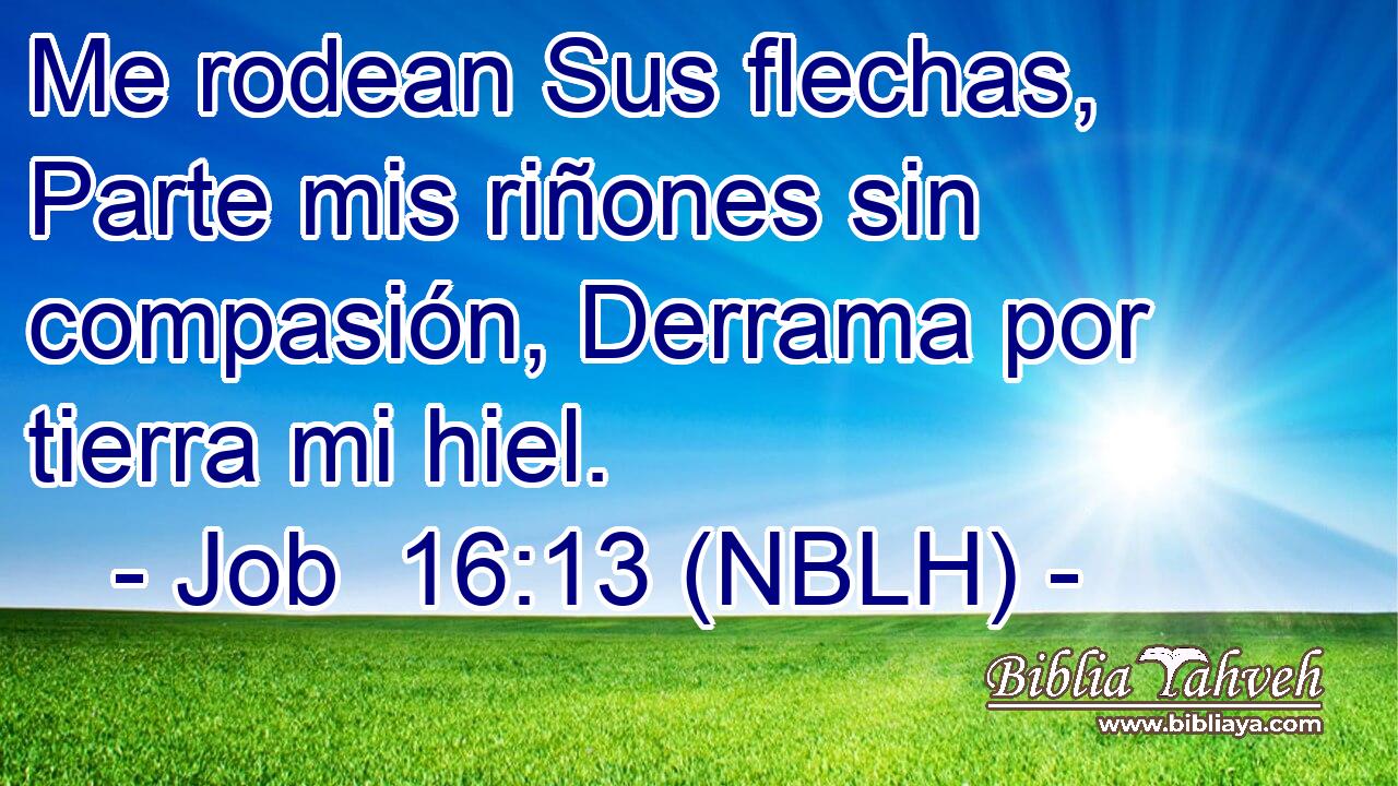  Me rodean Sus flechas, Parte mis riñones sin compasión, Derrama por tierra mi hiel. 