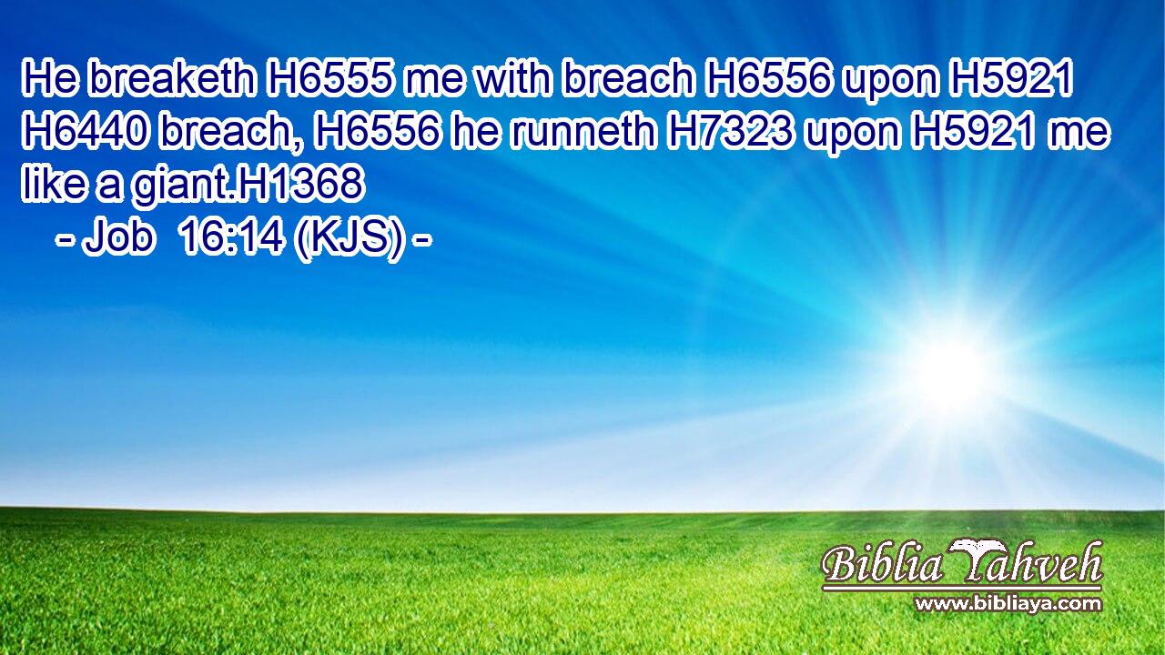 He breaketh H6555 me with breach H6556 upon H5921  H6440 breach, H6556 he runneth H7323 upon H5921 me like a giant.H1368