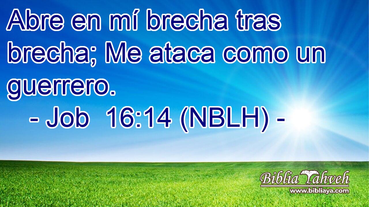  Abre en mí brecha tras brecha; Me ataca como un guerrero. 
