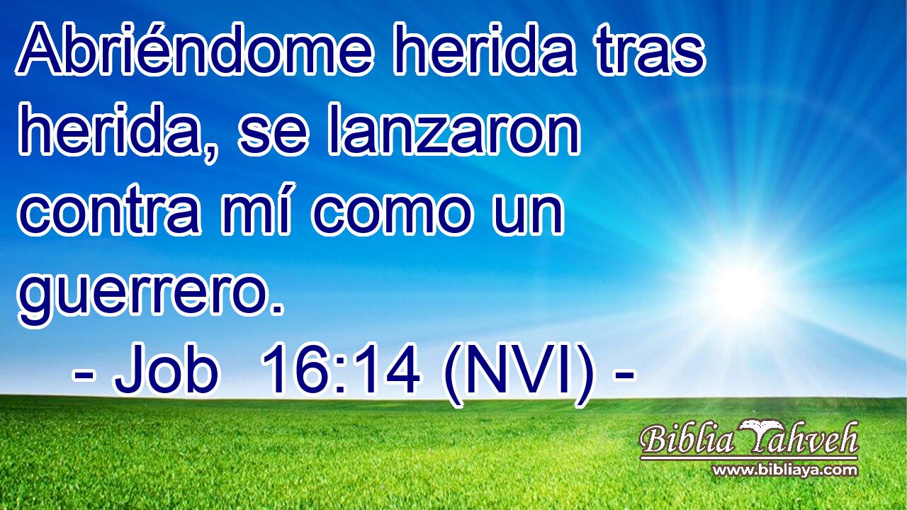  Abriéndome herida tras herida, se lanzaron contra mí como un guerrero. 