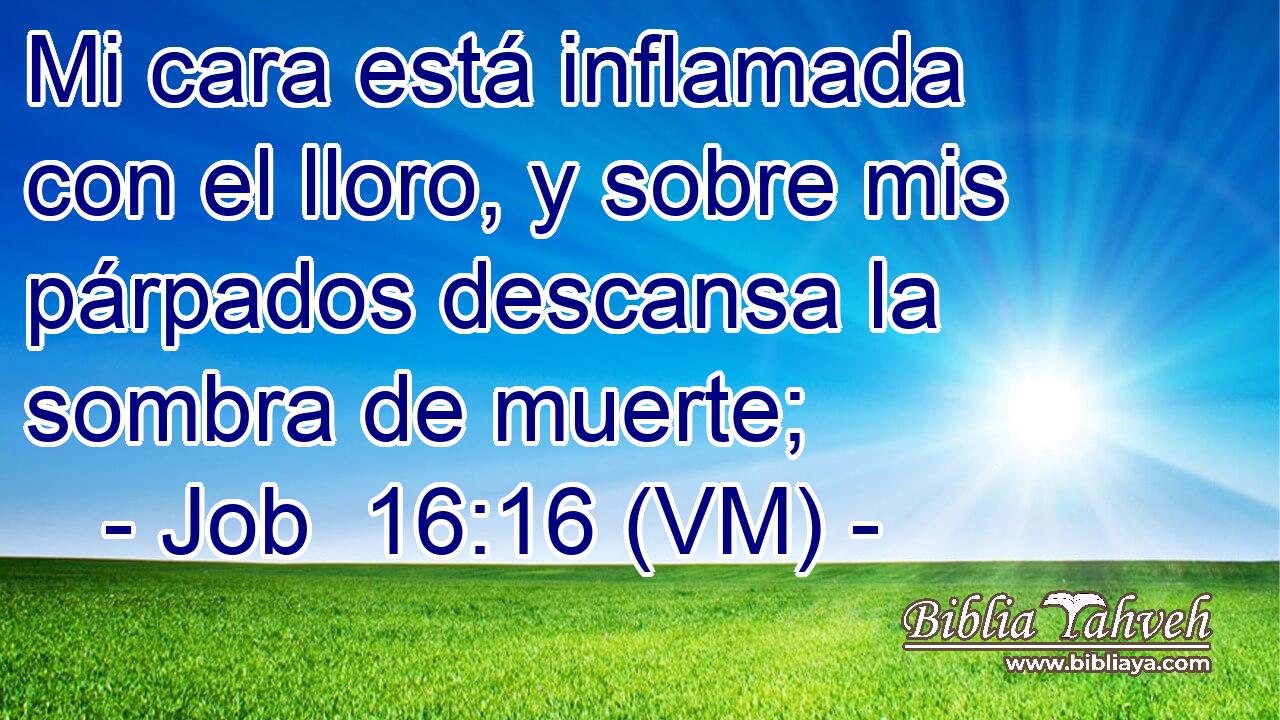  Mi cara está inflamada con el lloro, y sobre mis párpados descansa la sombra de muerte; 