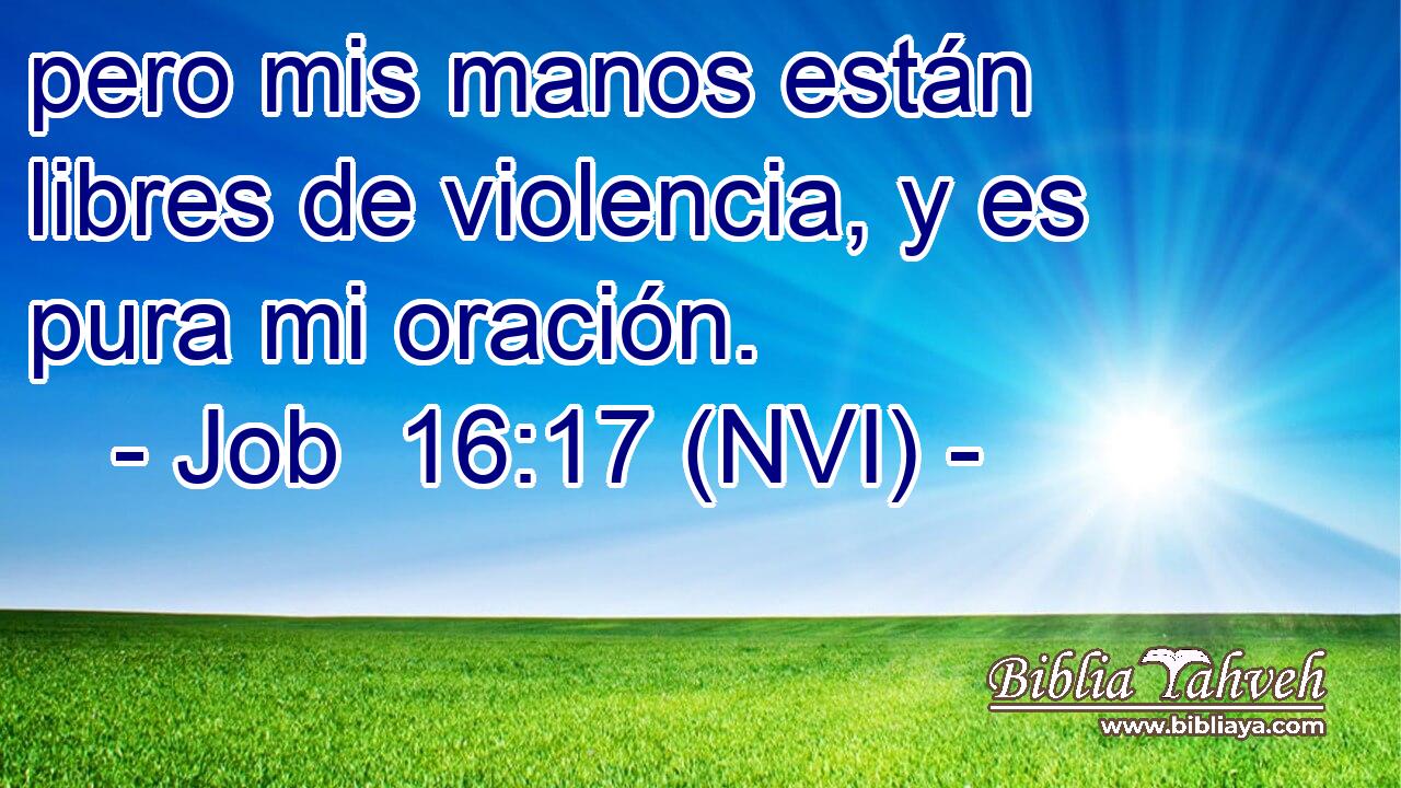  pero mis manos están libres de violencia, y es pura mi oración. 