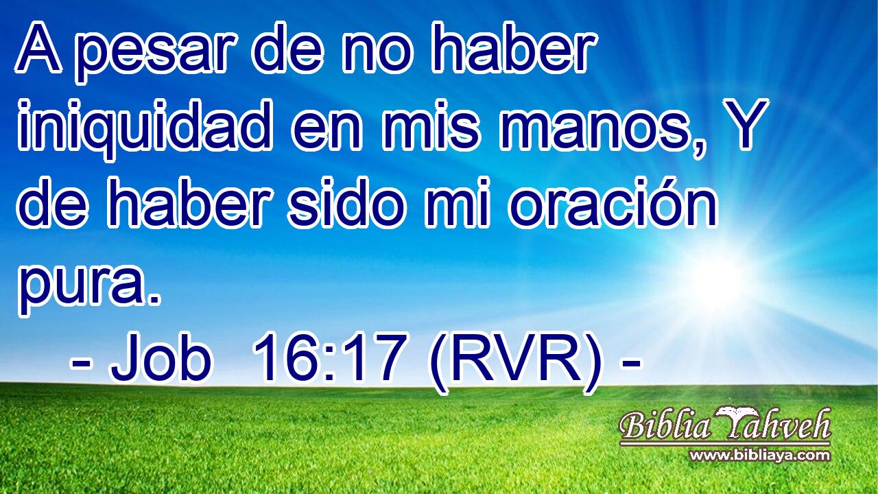 A pesar de no haber iniquidad en mis manos, Y de haber sido mi oración pura.