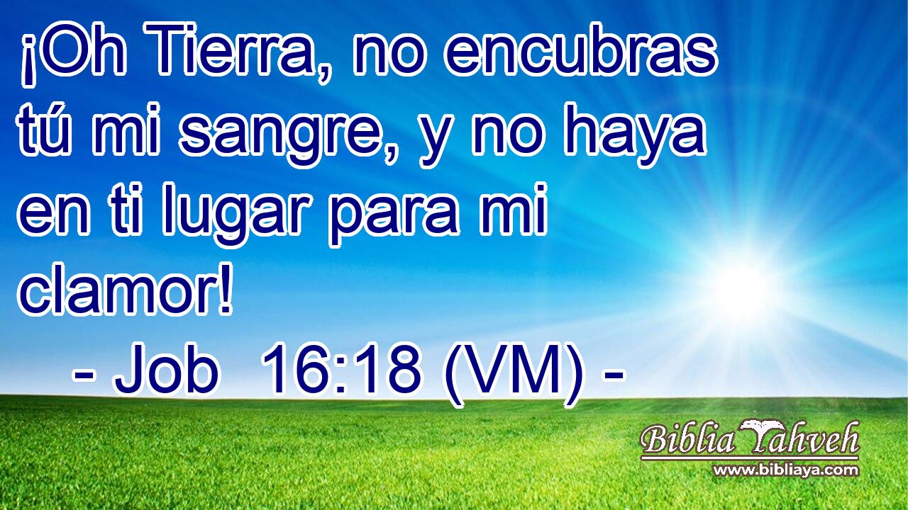  ¡Oh Tierra, no encubras tú mi sangre, y no haya en ti lugar para mi clamor! 