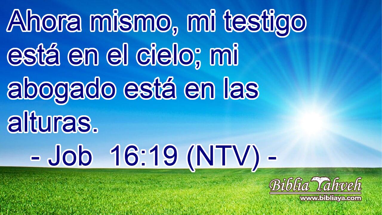 Ahora mismo, mi testigo está en el cielo; mi abogado está en las alturas.