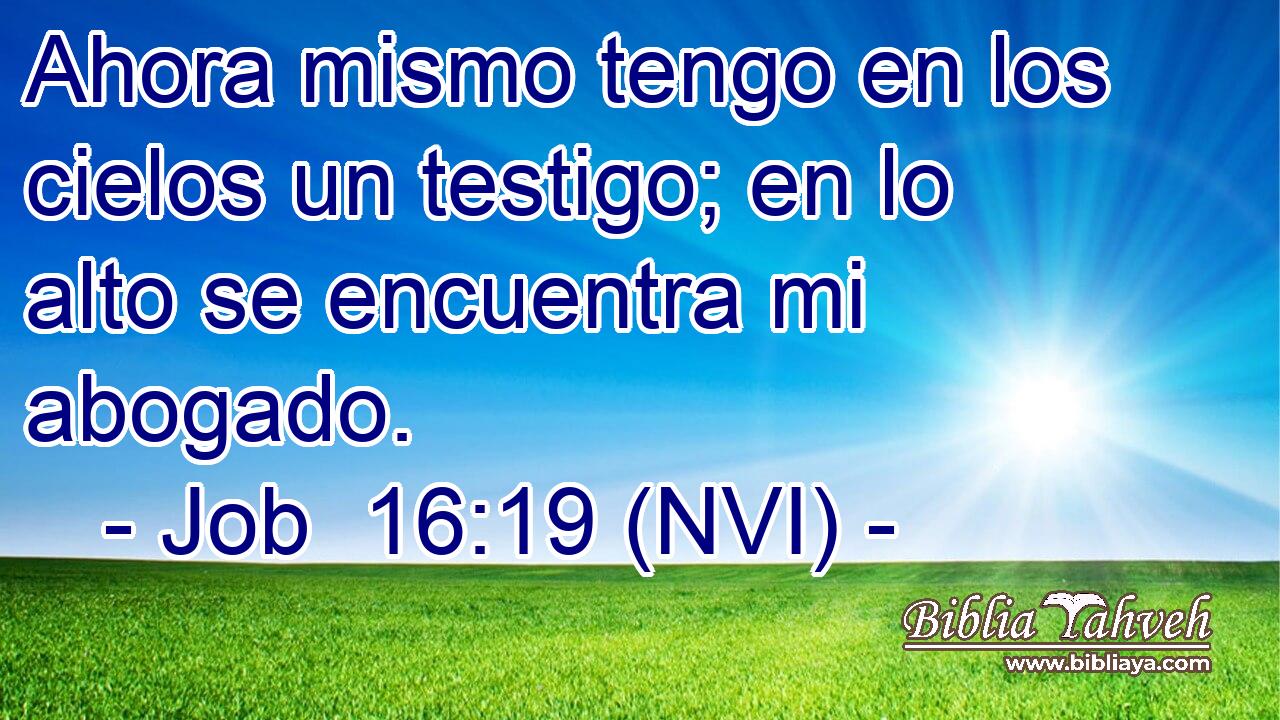  Ahora mismo tengo en los cielos un testigo; en lo alto se encuentra mi abogado. 