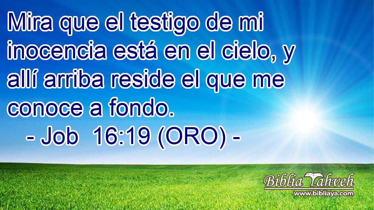  Mira que el testigo de mi inocencia está en el cielo, y allí arriba reside el que me conoce a fondo. 
