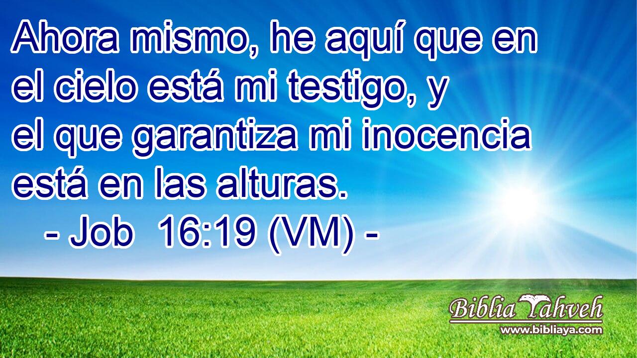  Ahora mismo, he aquí que en el cielo está mi testigo, y el que garantiza mi inocencia está en las alturas. 