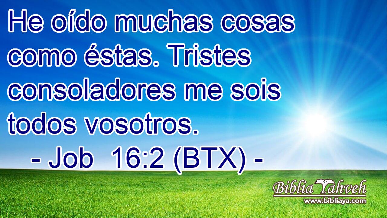 He oído muchas cosas como éstas. Tristes consoladores me sois todos vosotros.