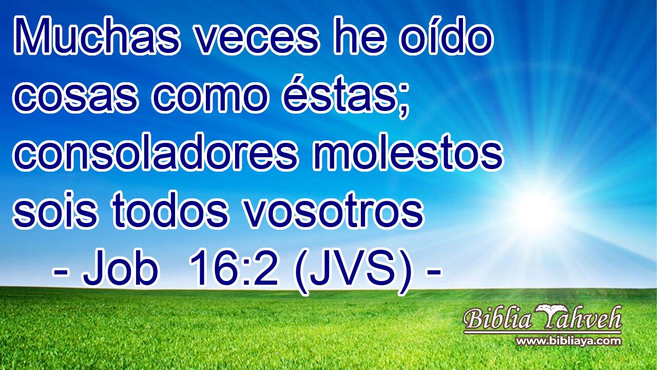Muchas veces he oído cosas como éstas; consoladores molestos sois todos vosotros