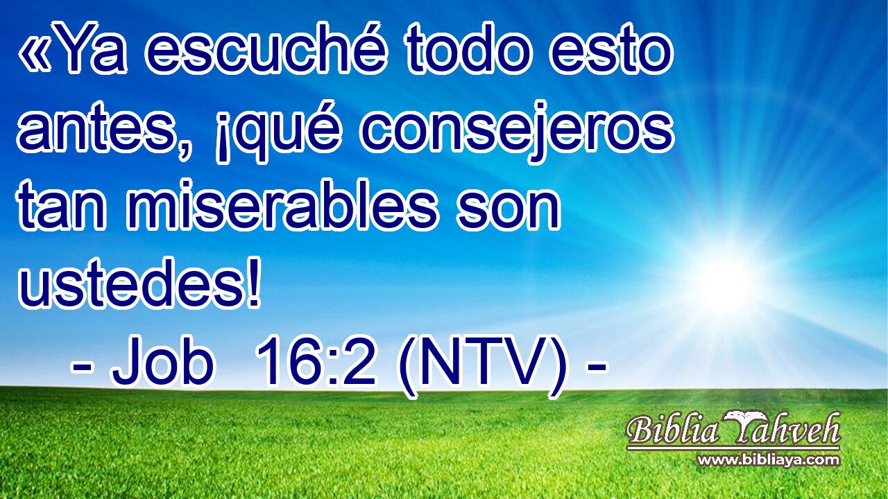 «Ya escuché todo esto antes, ¡qué consejeros tan miserables son ustedes!