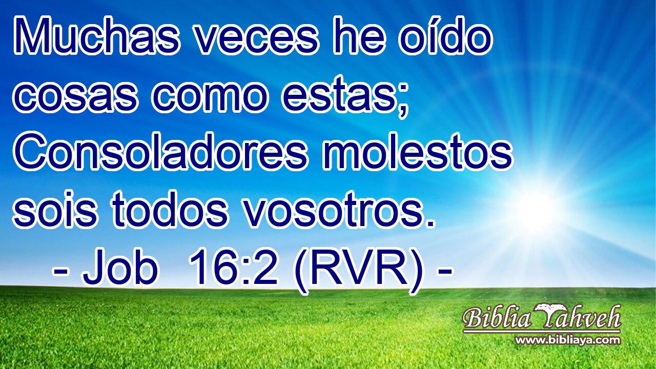 Muchas veces he oído cosas como estas; Consoladores molestos sois todos vosotros.