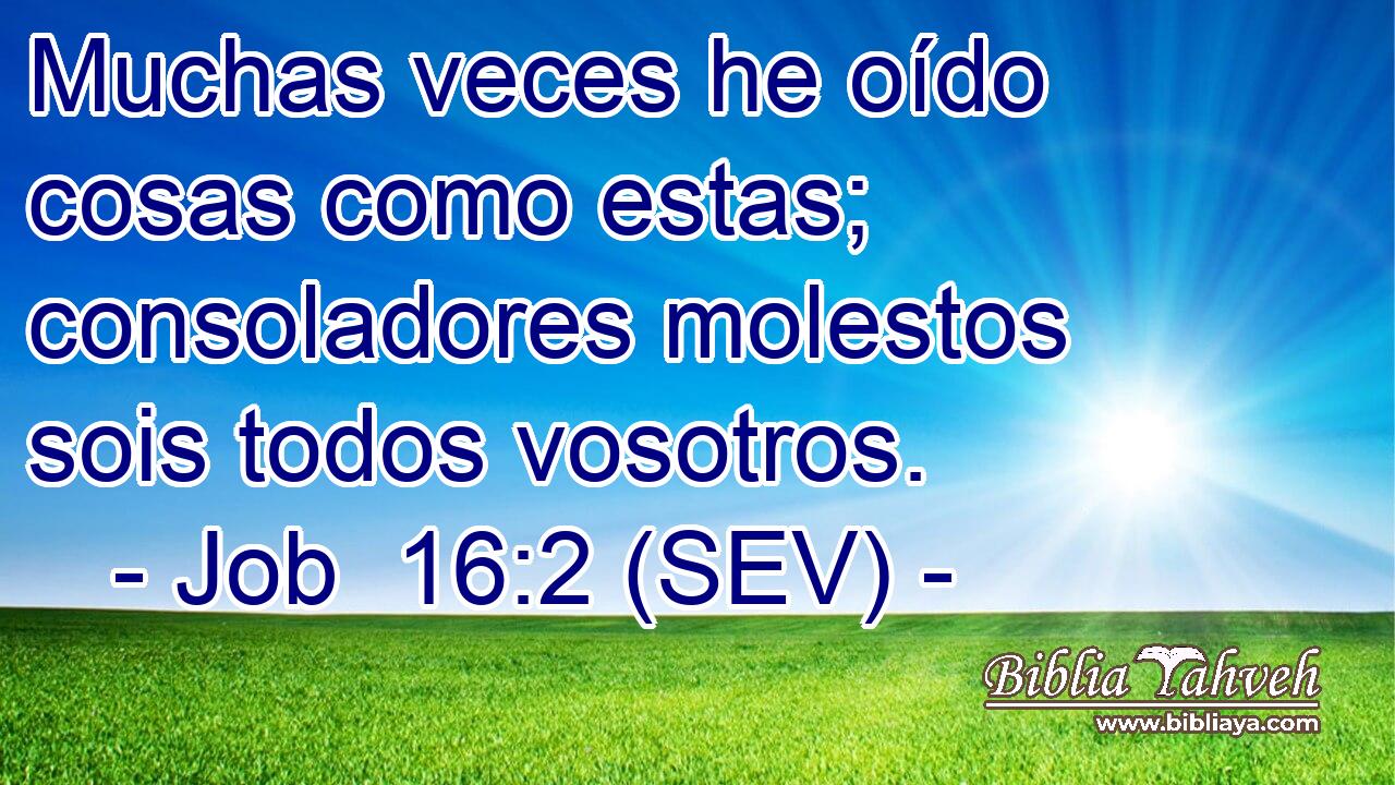 Muchas veces he oído cosas como estas; consoladores molestos sois todos vosotros.