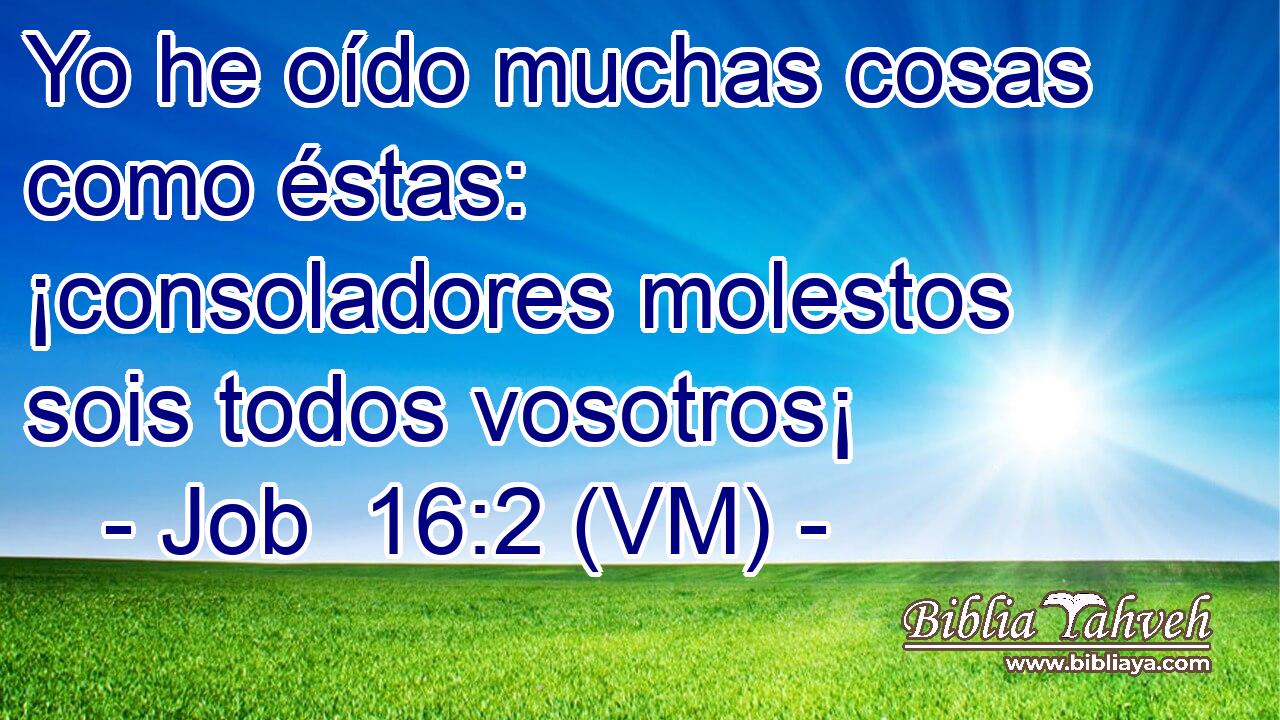  Yo he oído muchas cosas como éstas: ¡consoladores molestos sois todos vosotros¡ 
