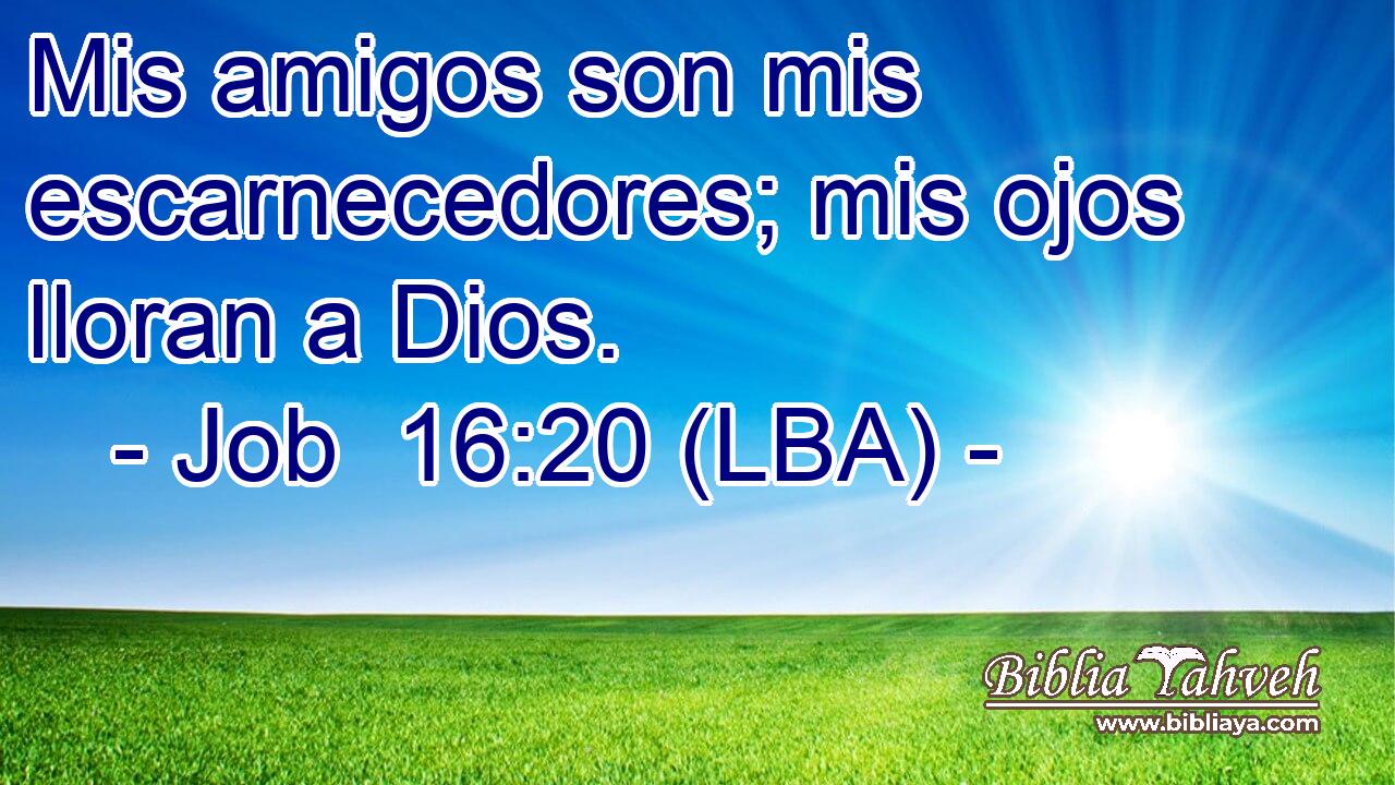Mis amigos son mis escarnecedores; mis ojos lloran a Dios.