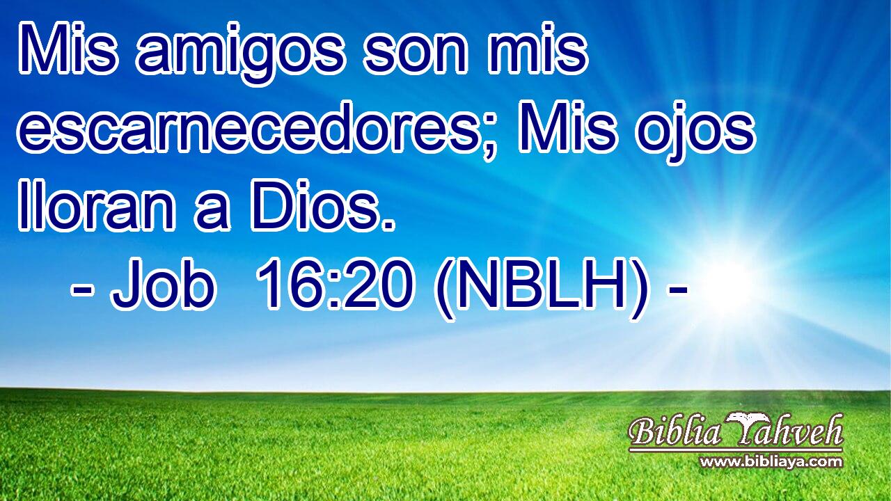  Mis amigos son mis escarnecedores; Mis ojos lloran a Dios. 