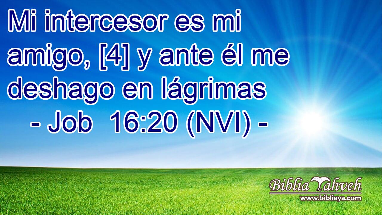  Mi intercesor es mi amigo, [4] y ante él me deshago en lágrimas 