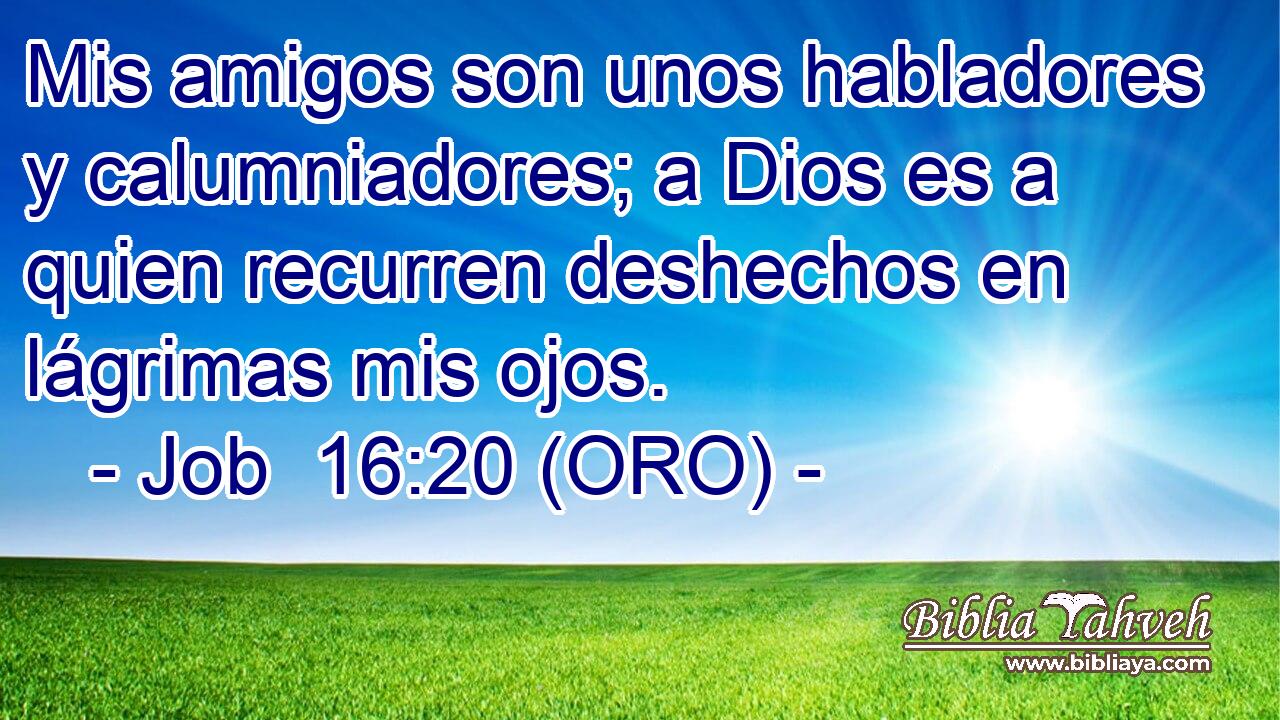  Mis amigos son unos habladores y calumniadores; a Dios es a quien recurren deshechos en lágrimas mis ojos. 
