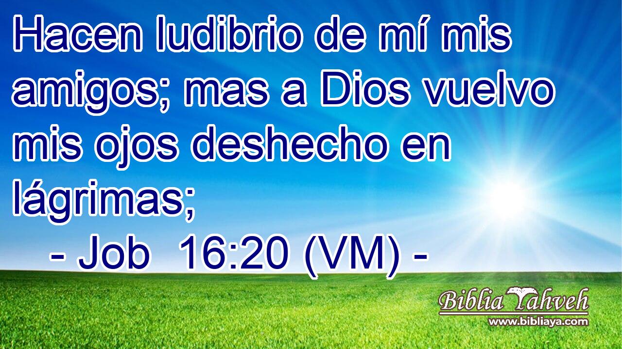  Hacen ludibrio de mí mis amigos; mas a Dios vuelvo mis ojos deshecho en lágrimas; 