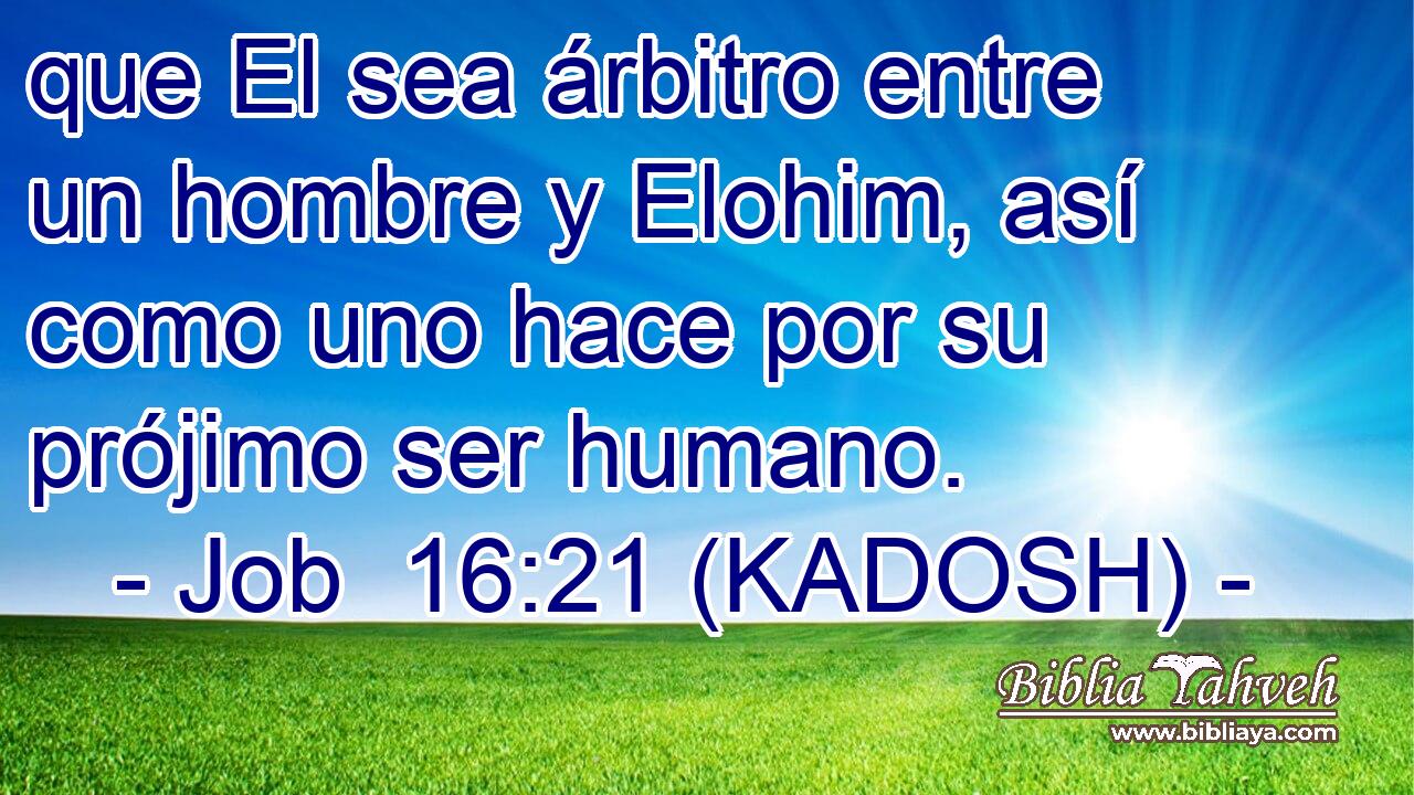  que El sea árbitro entre un hombre y Elohim, así como uno hace por su prójimo ser humano. 