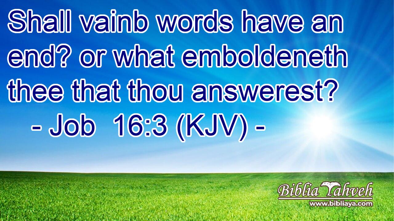 Shall vainb words have an end? or what emboldeneth thee that thou answerest?