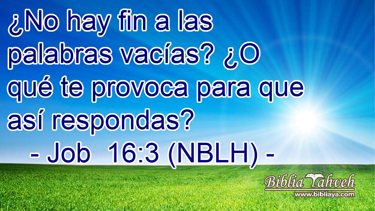  ¿No hay fin a las palabras vacías? ¿O qué te provoca para que así respondas? 