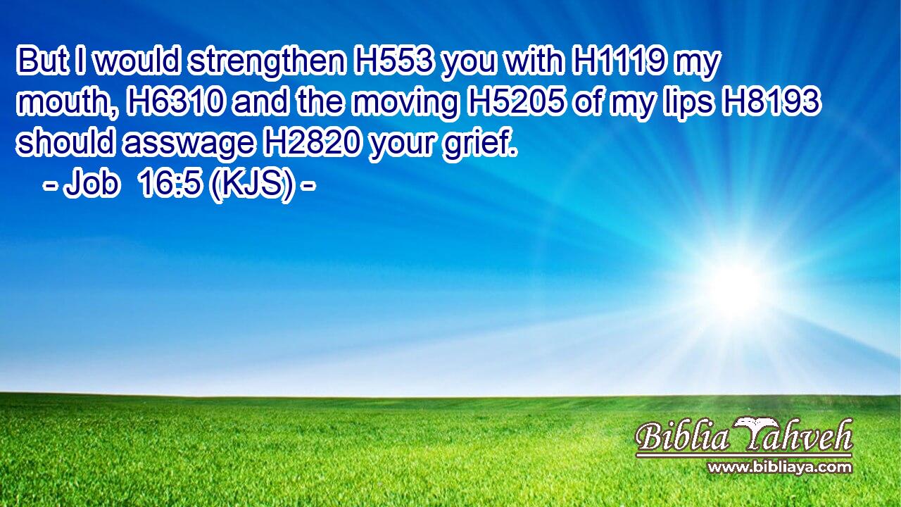 But I would strengthen H553 you with H1119 my mouth, H6310 and the moving H5205 of my lips H8193 should asswage H2820 your grief.