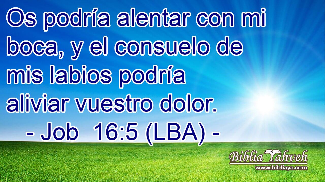 Os podría alentar con mi boca, y el consuelo de mis labios podría aliviar vuestro dolor.