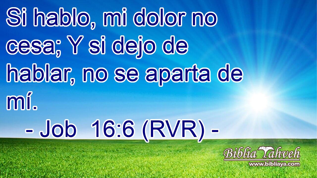 Si hablo, mi dolor no cesa; Y si dejo de hablar, no se aparta de mí.