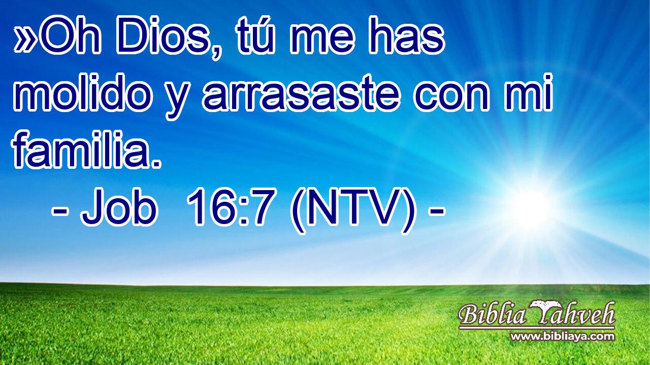 »Oh Dios, tú me has molido y arrasaste con mi familia.