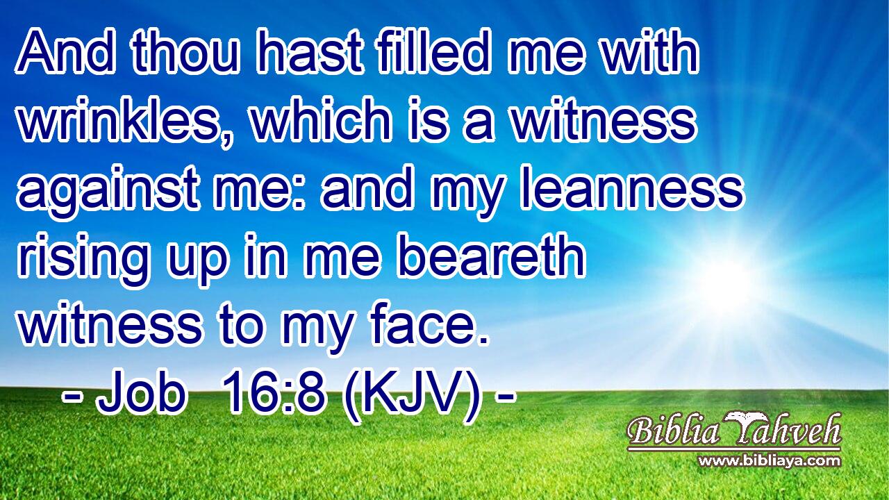 And thou hast filled me with wrinkles, which is a witness against me: and my leanness rising up in me beareth witness to my face.