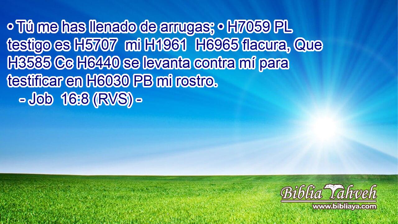 • Tú me has llenado de arrugas; • H7059 PL testigo es H5707  mi H1961  H6965 flacura, Que H3585 Cc H6440 se levanta contra mí para testificar en H6030 PB mi rostro. 