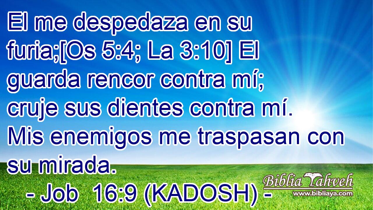  El me despedaza en su furia;[Os 5:4; La 3:10] El guarda rencor contra mí; cruje sus dientes contra mí. Mis enemigos me traspasan con su mirada. 