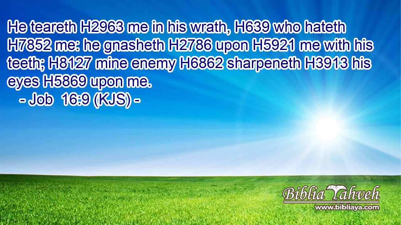 He teareth H2963 me in his wrath, H639 who hateth H7852 me: he gnasheth H2786 upon H5921 me with his teeth; H8127 mine enemy H6862 sharpeneth H3913 his eyes H5869 upon me.
