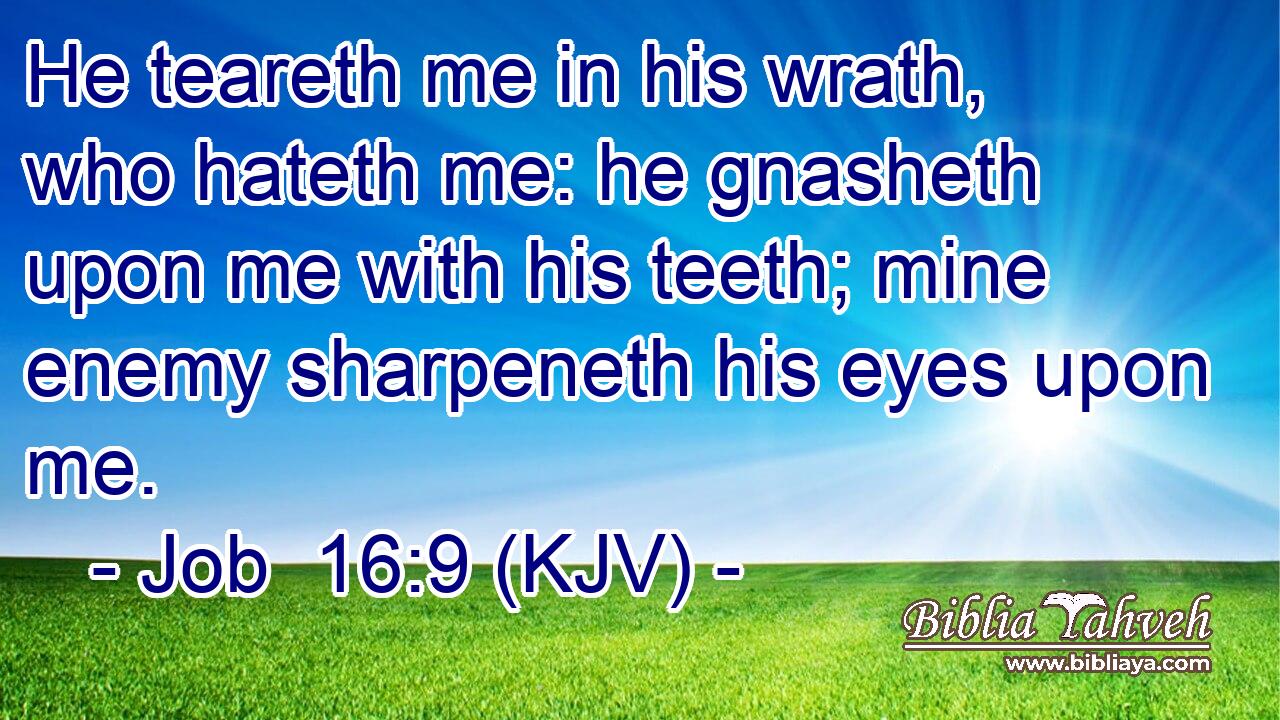 He teareth me in his wrath, who hateth me: he gnasheth upon me with his teeth; mine enemy sharpeneth his eyes upon me.