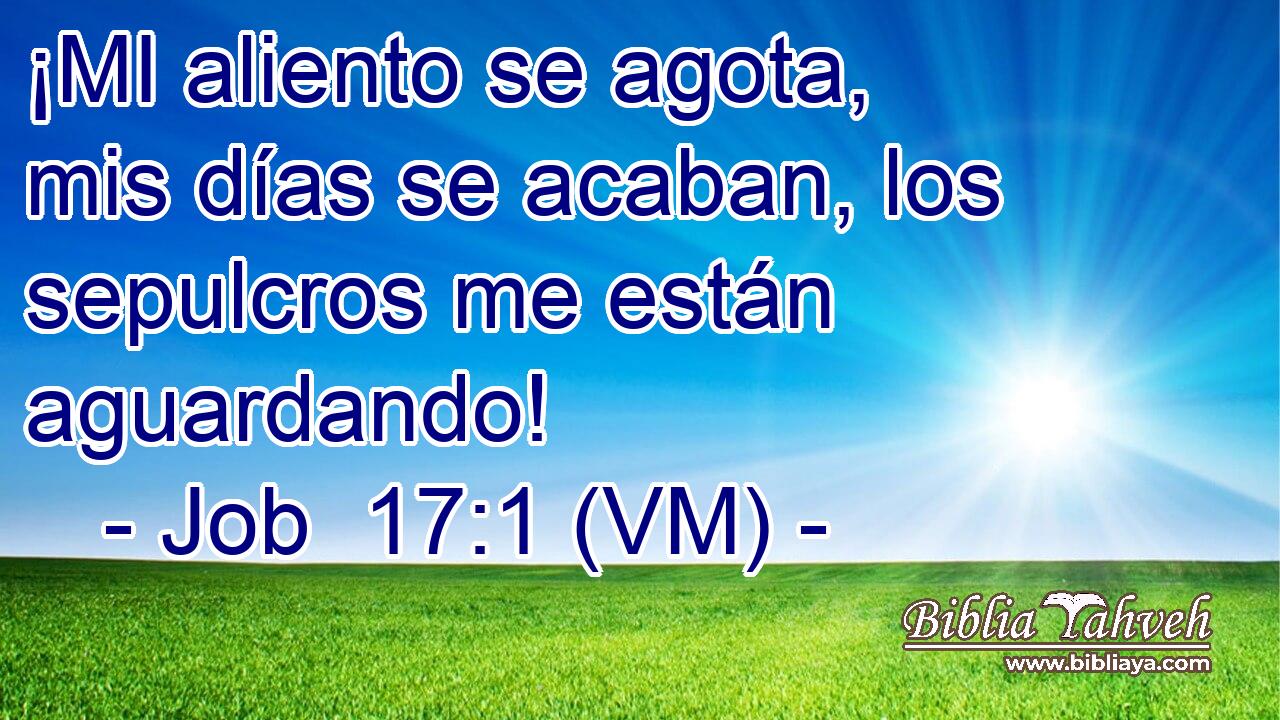  ¡MI aliento se agota, mis días se acaban, los sepulcros me están aguardando! 
