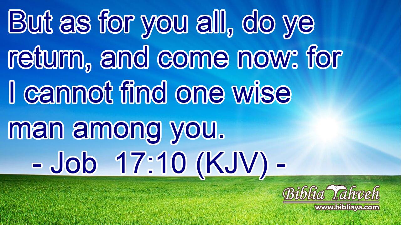 But as for you all, do ye return, and come now: for I cannot find one wise man among you.