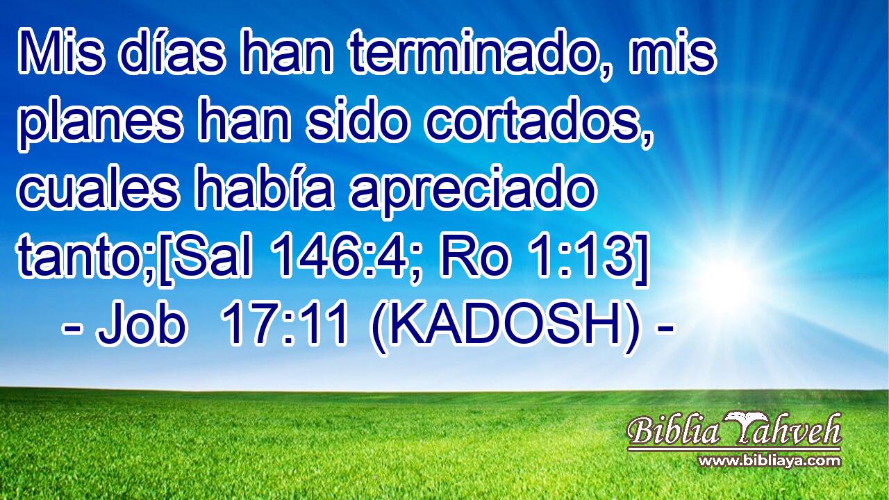  Mis días han terminado, mis planes han sido cortados, cuales había apreciado tanto;[Sal 146:4; Ro 1:13] 